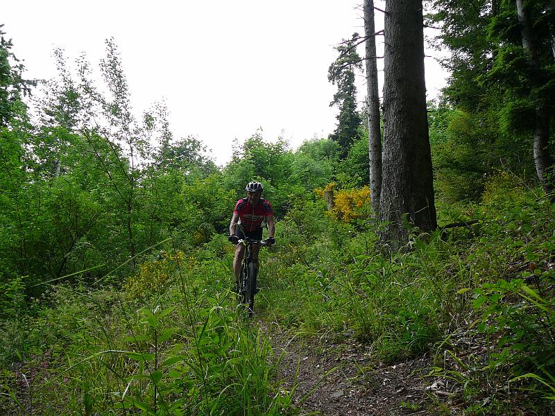 P1070650.JPG