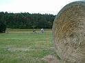 P1140900foin_20090611