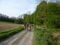 P1000936_20100429