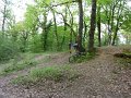 P1000946_20100429