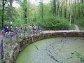 P1000965_20100429