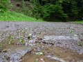 P1010083terrain_humide_20100514
