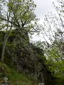 P1010088rocher_chene_20100514