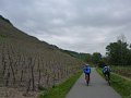 P1010116vignoble_20100514