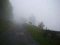 P1190305cheval_ombre_20100520