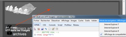 bug ie9 compatibilite