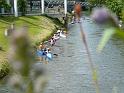 P1140396depart_20090531_selestat
