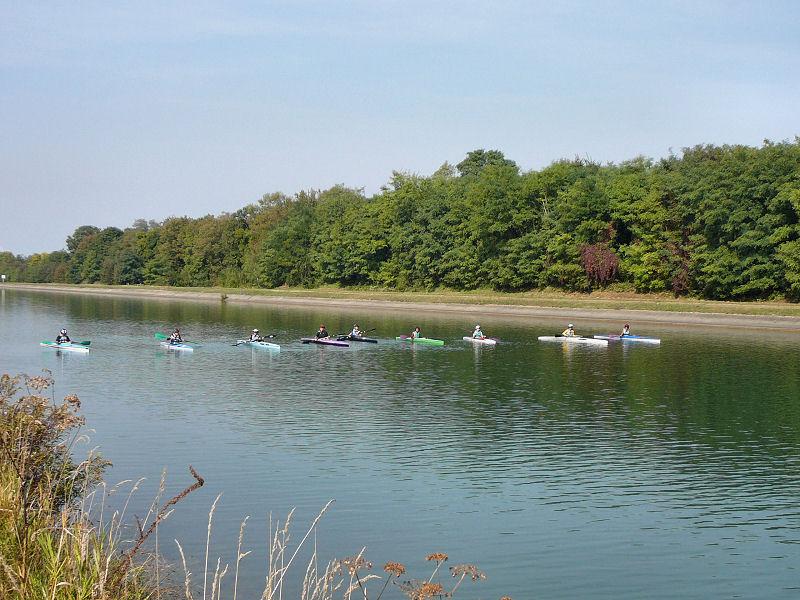 P1110565.JPG