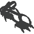 crampons