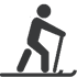 ski
