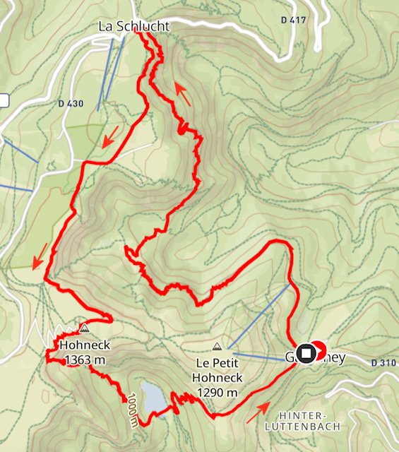carte