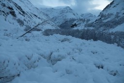 L'avalanche a détruit tout ce qui se trouvait sur son passage, dont de nombreux arbres. - Aucun(e)