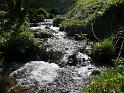 P1130324ruisseau_20090411